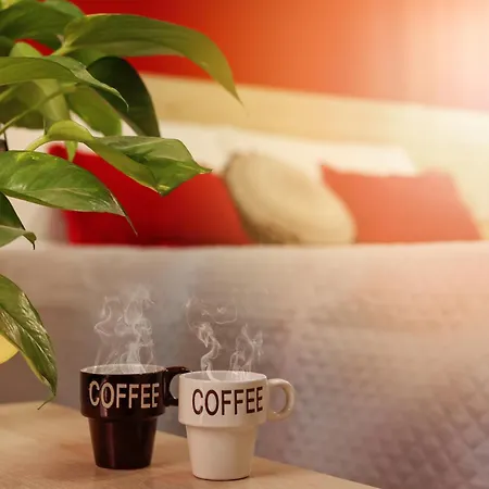U259 Couette-café *